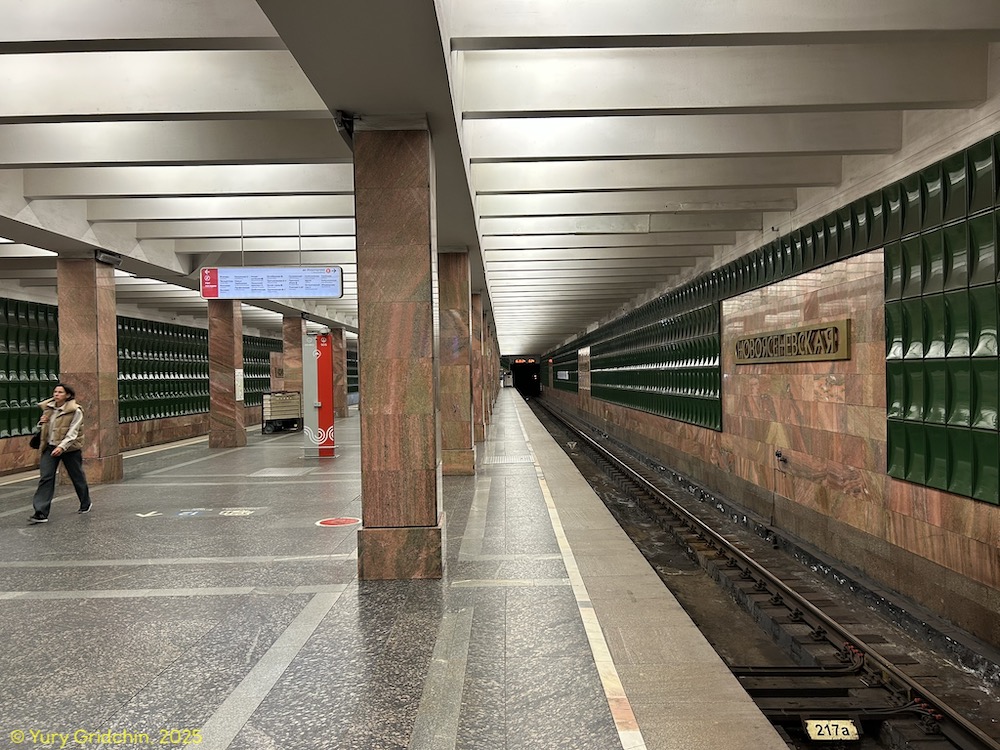Line 6. Station 'Novoyasenevskaya' Photo Yu.Gridchin, 2025