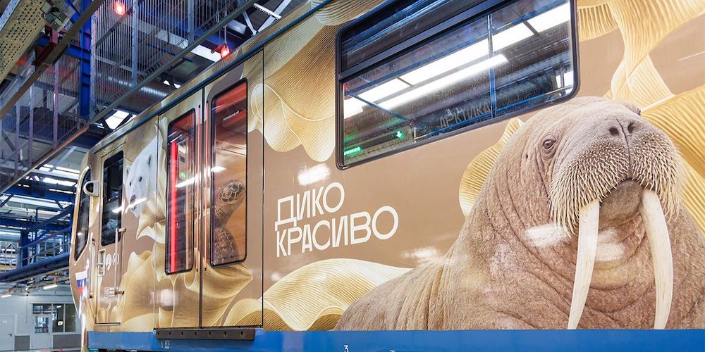 �Photo Mos.ru, 2026